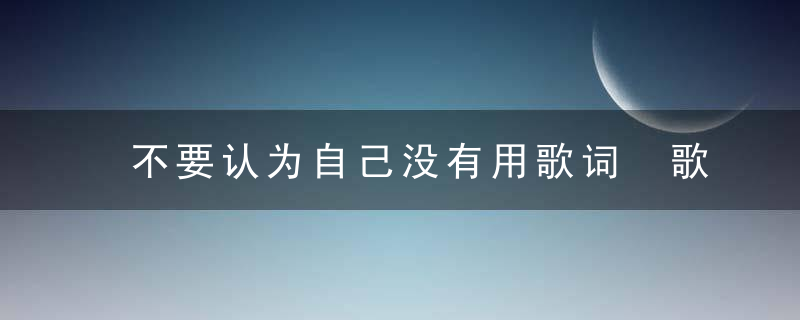 不要认为自己没有用歌词 歌曲不要认为自己没有用歌词